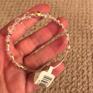 Alex and Ani bracelet